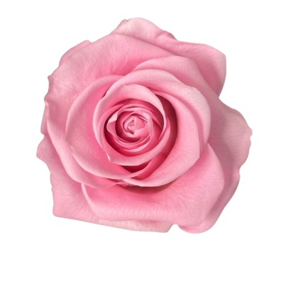 Floral Notes