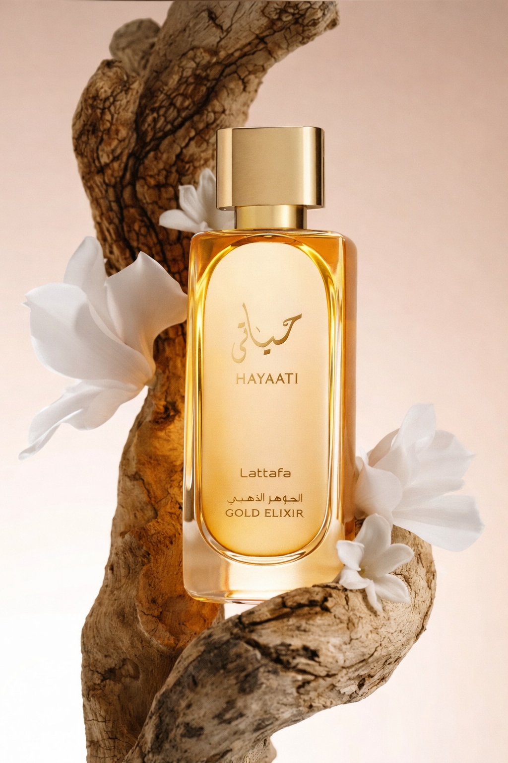 OLFACTORY NOTES