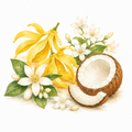 Ylang-ylang, Jasmin, Néroli, Noix de coco
