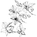 Orchid - Heliotrope - Mandarin