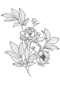 Héliotrope, Notes tropicales, Orchidée, Rose
