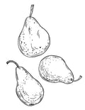 Mangue & Poire (fraîcheur fruitée)