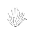 White Musk, Aloe Vera