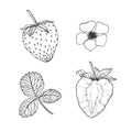 Fruits