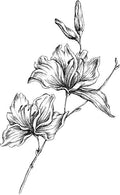 Pomegranate, Fruits, Lily, Aldehydes
