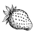 fraise juteuse, framboise douce, citron pétillant