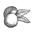 pomme, litchi, rose