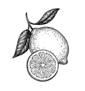 Romarin, Citron