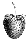 Fraise, Framboise, Citron
