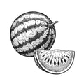 Pastèque givrée, Accord fruité frais